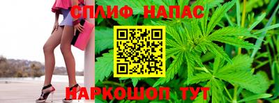 шишки Гагарин