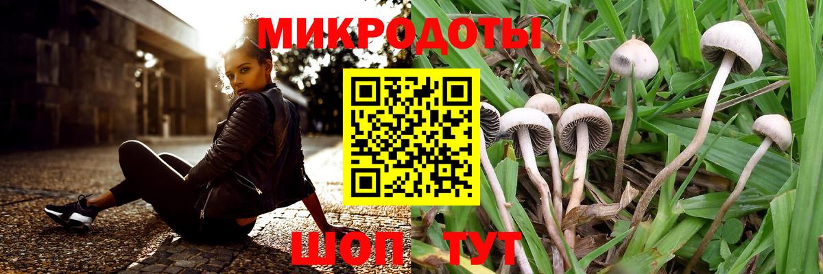 Галлюциногенные грибы Magic Shrooms  Псилоцибиновые грибы ЛСД  Северодвинск  Вход с VPN 